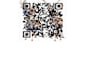 create professional qr code generator with logo in 24 hours